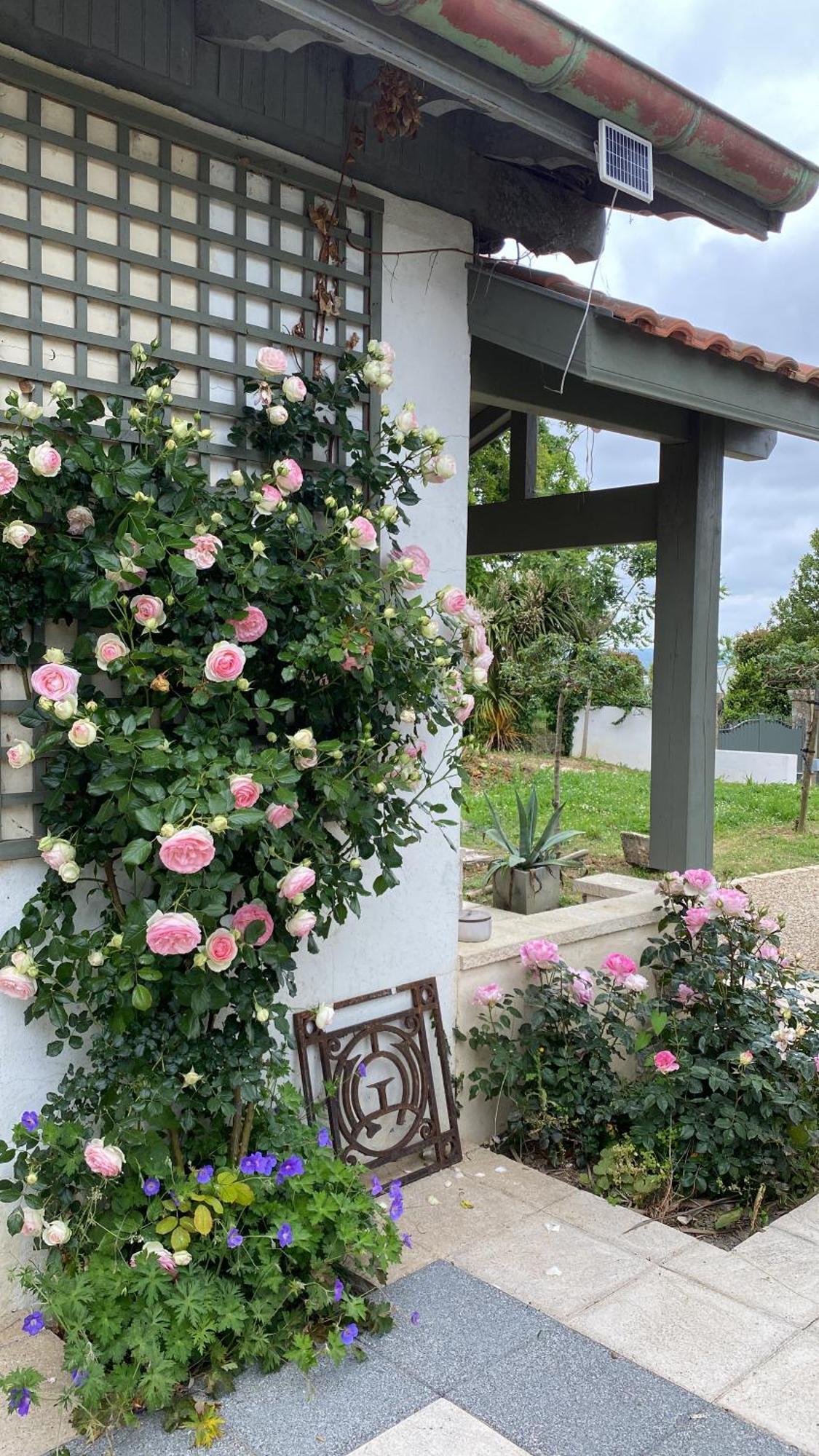 Apartamento La Bastide De Guiche Entre Ocean Et Montagnes Exterior foto