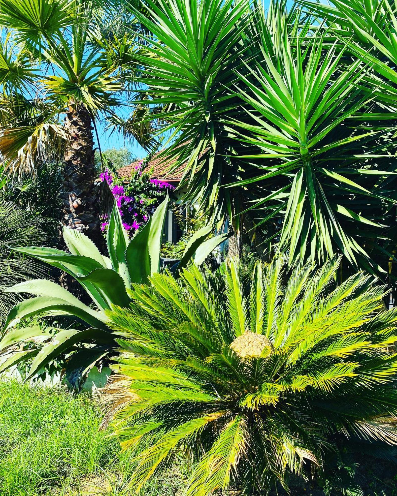 Apartamento La Bastide De Guiche Entre Ocean Et Montagnes Exterior foto